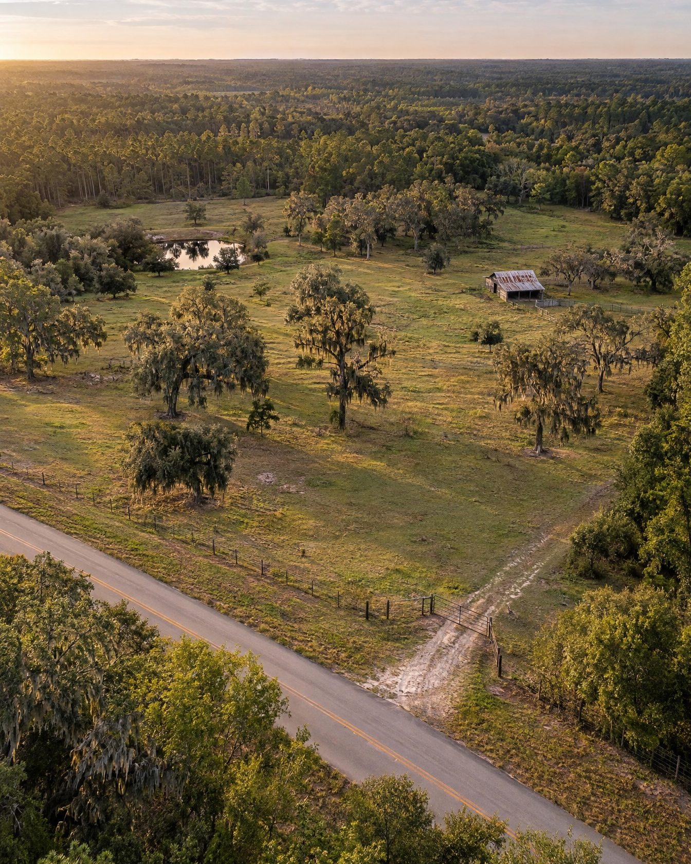 Pasture acreage with live oaks and a pond